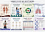 design professional medical and educational posters in canva